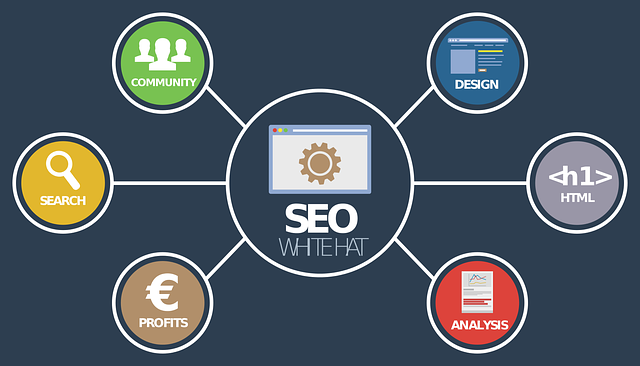 Free seo online analysis communituy manage vector